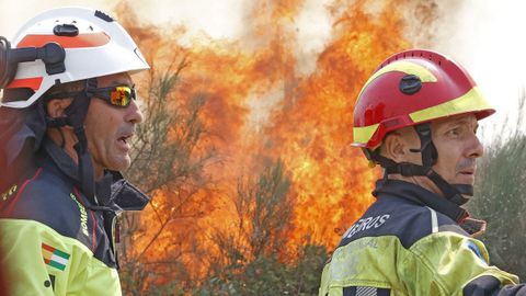 Bomberos de Málaga sofocan un incendio en Erosa, A Gudiña.
