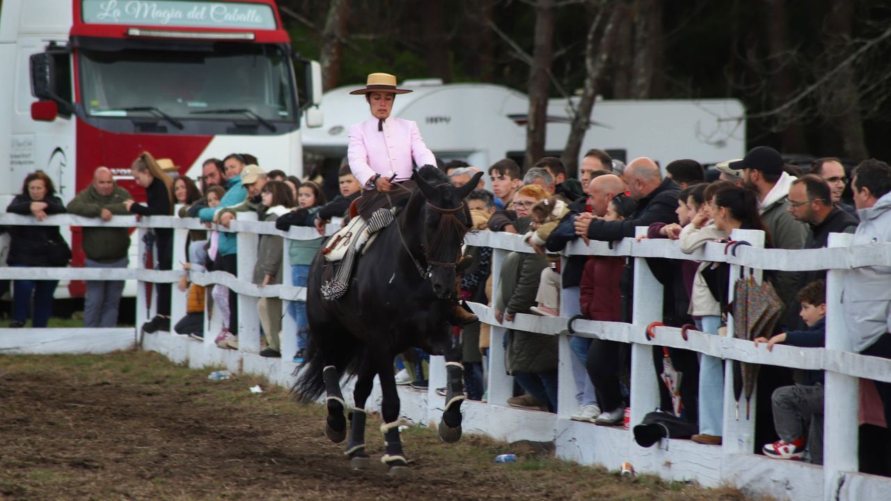 Poderío equino en la Feira Cabalar de Pascua de A Estrada