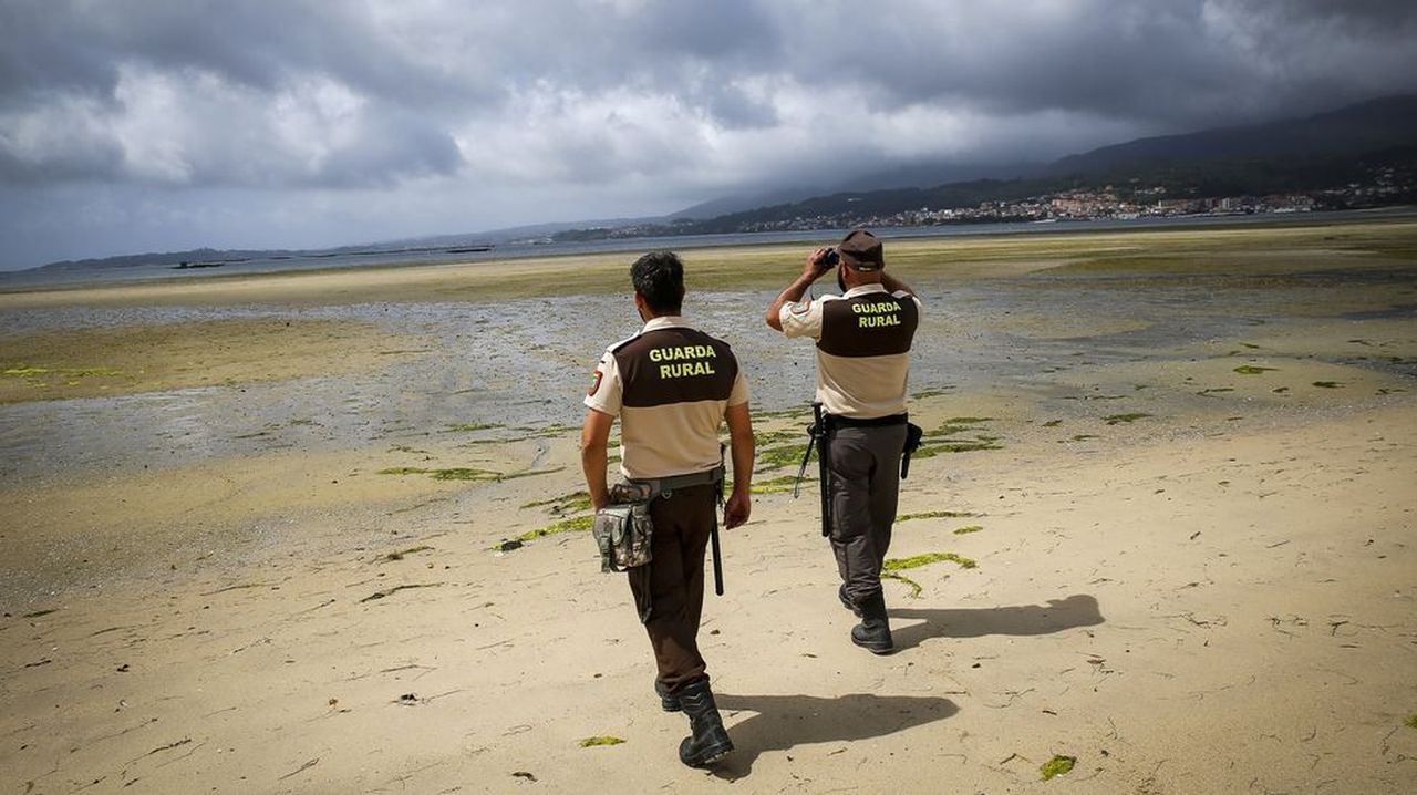 El TSXG condena al pósito de Cabo de Cruz a indemnizar a una guardapesca expedientada