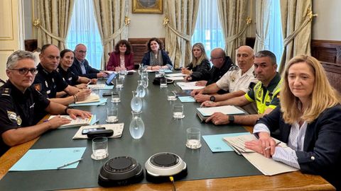 La alcaldesa y la subdelegada presidieron la reunión con todas las fuerzas de seguridad de Santiago