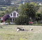 Finca de los promotores del Peri de A Xunqueira. 