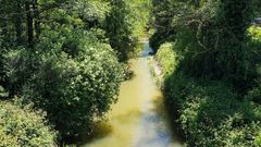 R�o Pinzales