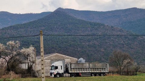 Imagen de la explotaci�n en la que se ha detectado el positivo por dermatosis