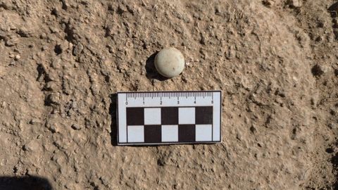 Una de las piezas de piedra recién encontradas en el yacimiento romano de Proendos. En opinión de los investigadores, podrían ser fichas empleadas en un juego de mesa similar al de las damas