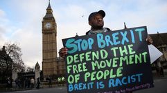 Un manifestante en contra del �Brexit� en los alrededores del parlamento.