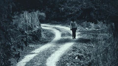 Fragmento de la fotograf�a ganadora.