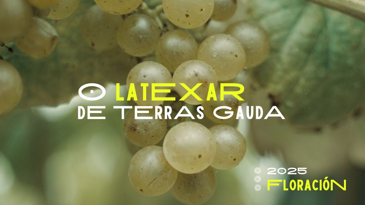 Terras Gauda fusiona vino, música y arte en un evento único de Enoturismo