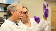 Crean el primer cromosoma artificial