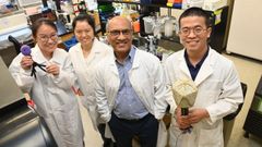 Investigadores de la Universidad Cat�lica de Washington que han desarrollado la t�cnica