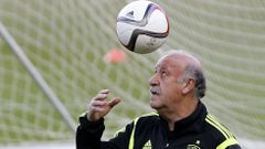 El entrenador de Espa�a, Vicente del Bosque, juega con un bal�n durante el entrenamiento que la selecci�n espa�ola de f�tbol ha realizado esta tarde en el estadio S�nchez Pizju�n de Sevilla