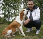 �Tora� es una sabueso espa�ol de ocho a�os que rastrea jabal�es con una efectividad del 90 %. 