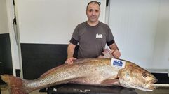 Corvina de 40 kilos y medio en O Percebeiro, en Mar�n
