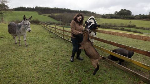 El refugio de animales Acougo, de A Laracha