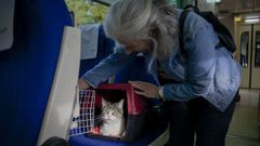 Una usuaria del tren entre Lugo y Monforte el pasado martes 23 con su mascota
