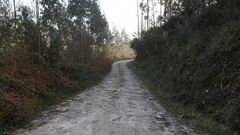 Imagen de un cortafuegos desbrozado en el monte de San Roque, en Viveiro