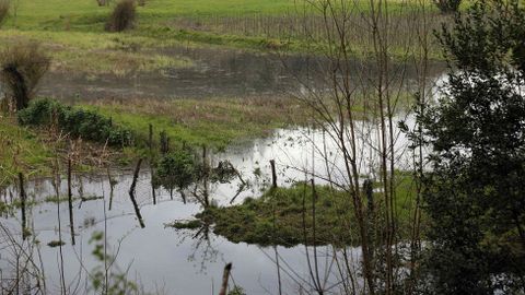 Aspecto que presenta esta tarde el r�o Narcea en la estaci�n de Quinzanas (Asturias), donde registra un nivel de 2,49 metros, rozando los 2,50 con los que entrar�a en nivel de prealerta,