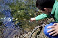 Miles de peces aparecieron muertos el pasado marzo. <span lang= es-es >�scar v�zquez</span>