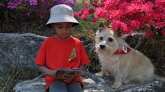 Dos cans � unha frase feita dicir que s� lles falta falar