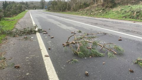 Restos de rboles tirados en la AC-441 en Vimianzo