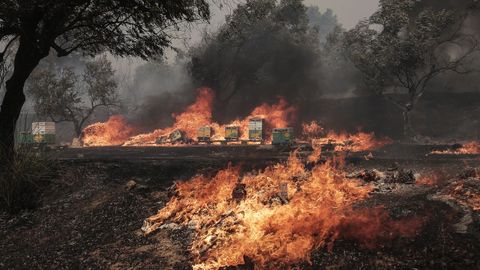 Los incendios arrasan Grecia. El fuego devora varias localidades, incluyendo los alrededores de Atenas. 22/08/2023