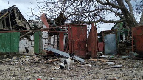 Zonas residenciales destrozadas en Markhalivka