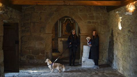 Numerosos vecinos llevaron a sus mascotas para la tradicional bendici�n