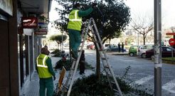 La firma Elsamex asumi� el cuidado de zonas verdes del municipio de Pontevedra en el 2006. 