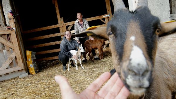 Tamar Dom�nguez y su madre Carmen, con sus cabras en Amandi