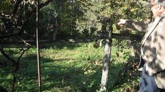 Casa del pe�n caminero de O Carballi�o