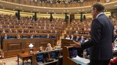 El líder del PP, Alberto Núñez Feijoo interviene durante la sesión de control al Gobierno en el Congreso