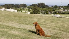 Imagen de archivo del parque de Bens
