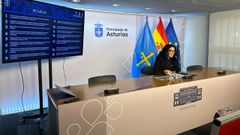 La consejera de Cultura, Vanessa Guti�rrez, en rueda de prensa.