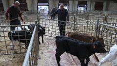 Una imagen de los animales de la recr�a que participaron en un mercado anterior celebrado en Amio