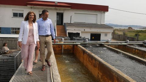 Declaraciones da conselleira de Medioambiente �ngeles V�zquez e do conselleiro do Mar Alfonso Villares sobre a decisi�n de Costas sobre a empresa Ostreira de O Grove