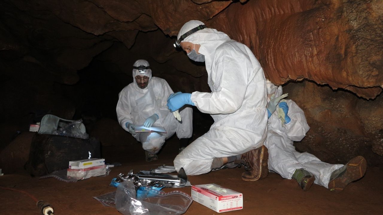 Hallan ADN humano de más de 2.000 años de antigüedad en cuevas de España y Portugal