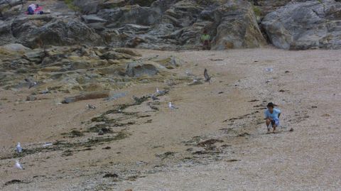 Playa de A Concheira, Baiona