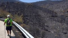Un hombre practica senderismo por una de las zonas afectadas por el incendio de Burgohondo