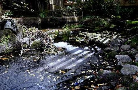 El �ltimo vertido, el lunes, ti�� de un tono blanquecino el tramo urbano del Gafos.