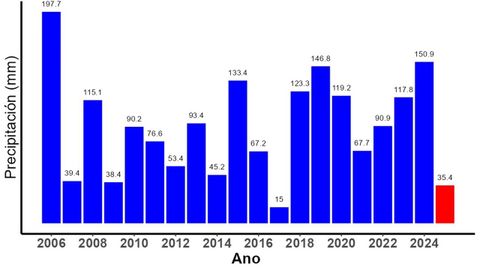 Grfica proporcionada por Adrin Naray que muestra las precipitaciones acumuladas durante los meses de octubre desde el ao 2006 al 2025