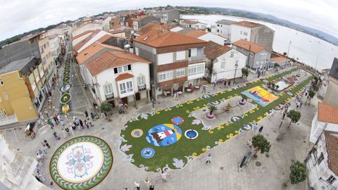 Alfombras Florales de Ares