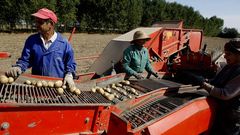 En muchas ocasiones son los propietarios de las tierras y sus familiares quienes se encargan directamente de los trabajos de recolecci�n.