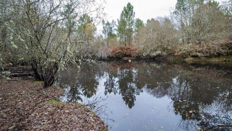 La laguna de la imagen es una una antigua balsa de lavado en la que se recogía el oro