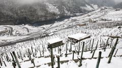 La nieve que deja el temporal cubre los bancales de las vi�as de la Ribeira de San Fiz.