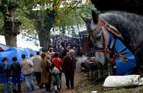 La feria equina de San Marti�o es el acontecimiento m�s multitudinario que Teo acoge cada a�o