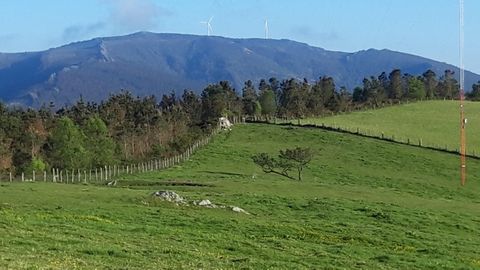 Finca de Manolo Garc�a que las empresas de renovables quieren alquilar