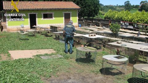 Una de las explotaciones inspeccionada por la Guardia Civil