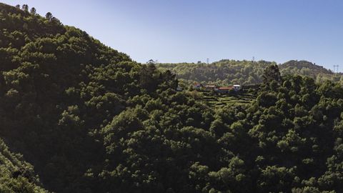 Aldea na Ribeira Sacra.