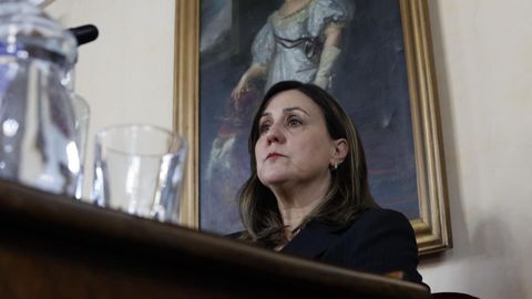 Mar�a Reigosa vot� a favor de la moci�n de censura
