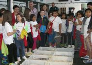 Los chavales llegados de la capital de Espa�a asistieron a una subasta de pescado en la lonja. 
