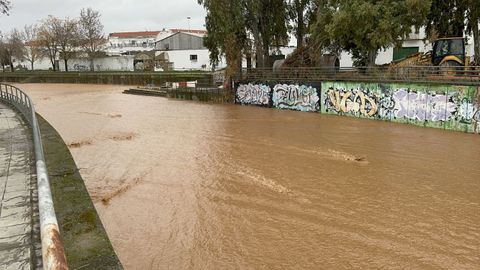 desperfectos causados por la lluvia y el viento de la borrasca Kristin a su paso este mi�rcoles por Almendralejo, Extremadura.